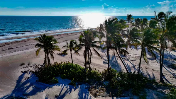 Palm trees and Gulf beach at Tarpon Bay Road Beach on Sanibel